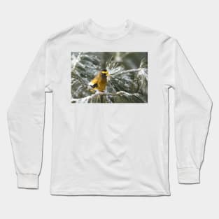 Evening Grosbeak - Algonquin Park Long Sleeve T-Shirt